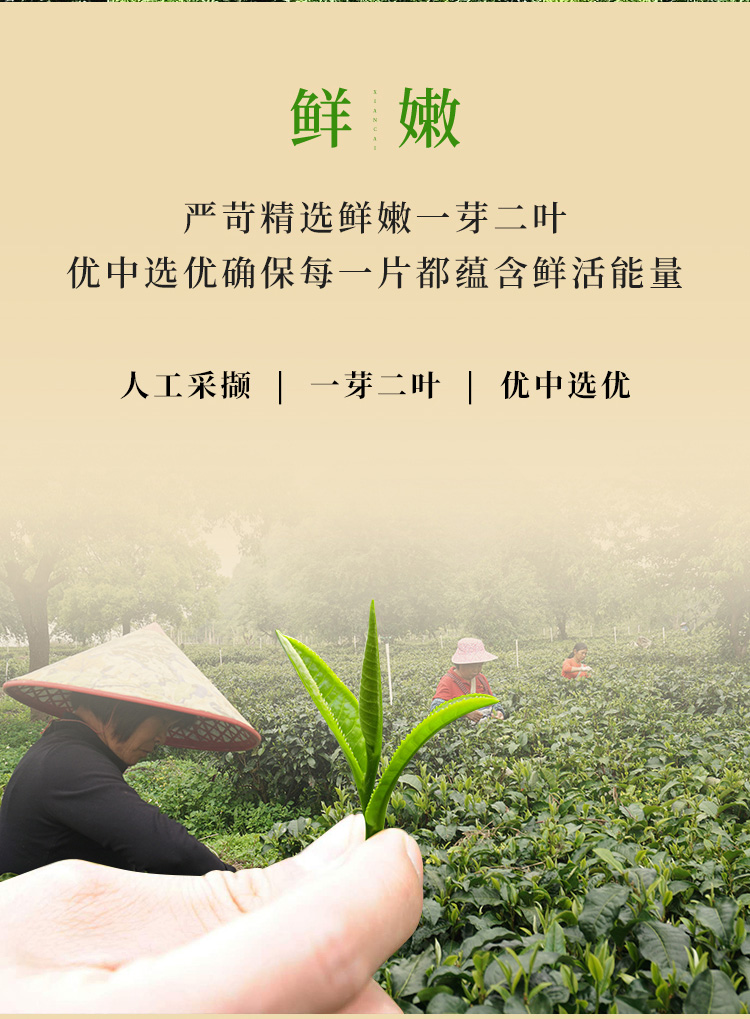 红运-详情页_06_02.jpg