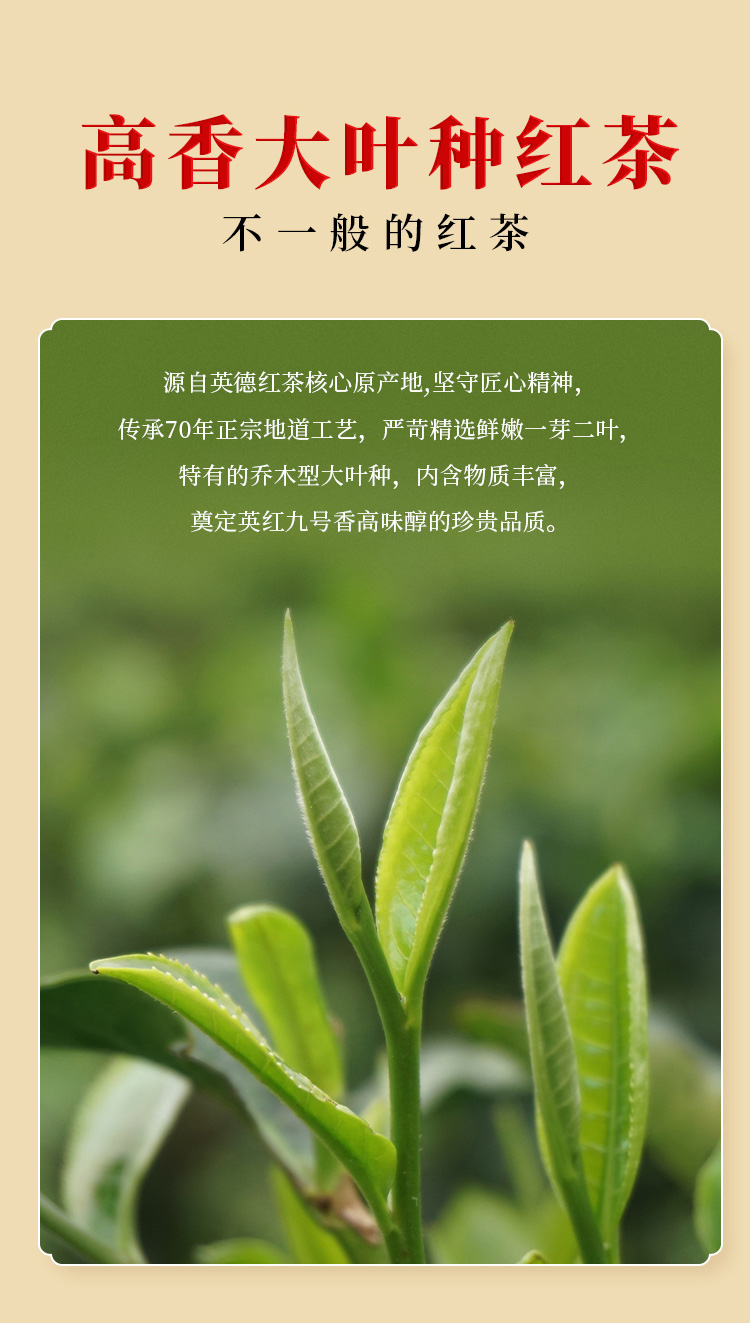 红运-详情页_05_01.jpg
